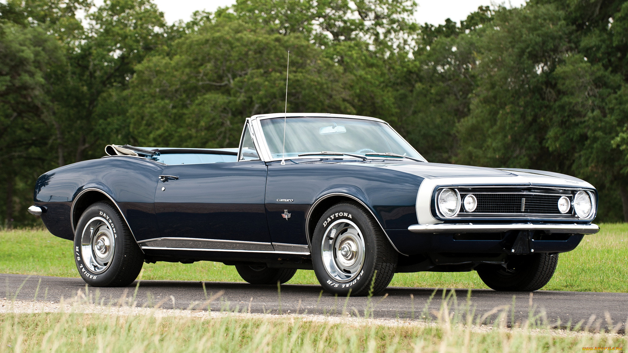 chevrolet, camaro, , gm, division, 
